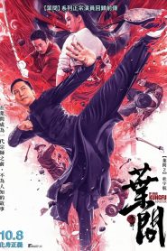 Ip Man Kung Fu Master (2019) 宗师叶问 2019